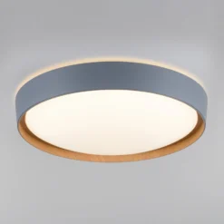 Paul Neuhaus Q-EMILIA Plafoniera LED, Grigio/legno