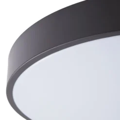 Lindby Smart Plafoniera Innes Nero 48cm RGB CCT Tuya -Philips Hue Shop 10013325 4