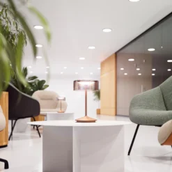 Lampada LED Accu Da Tavolo Numotion, IP54, Bronzo -Philips Hue Shop 10020537 2