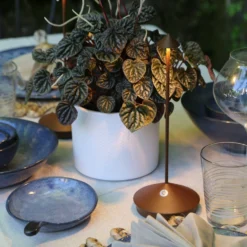 Zafferano Pina 3K Lampada Da Tavolo Ricaricabile IP54 Corten