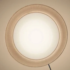 Foscarini Twiggy Wood MyLight Piantana, Nero 11 Foscarini Twiggy Wood MyLight Piantana, Nero -Philips Hue Shop 3560512 4