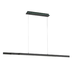 Paul Neuhaus Q-ARIAN LED A Sospensione, Antracite -Philips Hue Shop 7501837 2