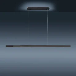 Paul Neuhaus Q-ARIAN LED A Sospensione, Antracite -Philips Hue Shop 7501837 5