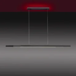 Paul Neuhaus Q-ARIAN LED A Sospensione, Antracite -Philips Hue Shop 7501837 7