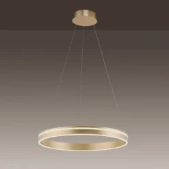 Paul Neuhaus Q-VITO LED A Sospensione, 1 Anello -Philips Hue Shop 7501850 3