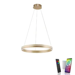 Paul Neuhaus Q-VITO LED A Sospensione, 1 Anello -Philips Hue Shop 7501850 5