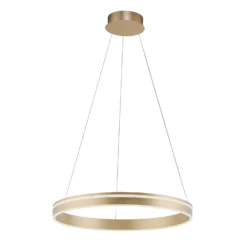 Paul Neuhaus Q-VITO LED A Sospensione, 1 Anello -Philips Hue Shop 7501850 7