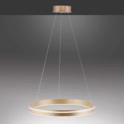 Paul Neuhaus Q-VITO LED A Sospensione, 1 Anello -Philips Hue Shop 7501850 8