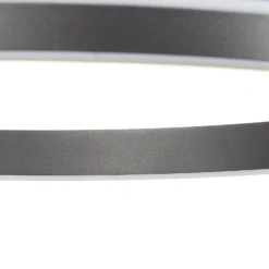 Paul Neuhaus Q-VITO Sospensione LED 59cm Antracite 14 Paul Neuhaus Q-VITO Sospensione LED 59cm Antracite -Philips Hue Shop 7610789 5